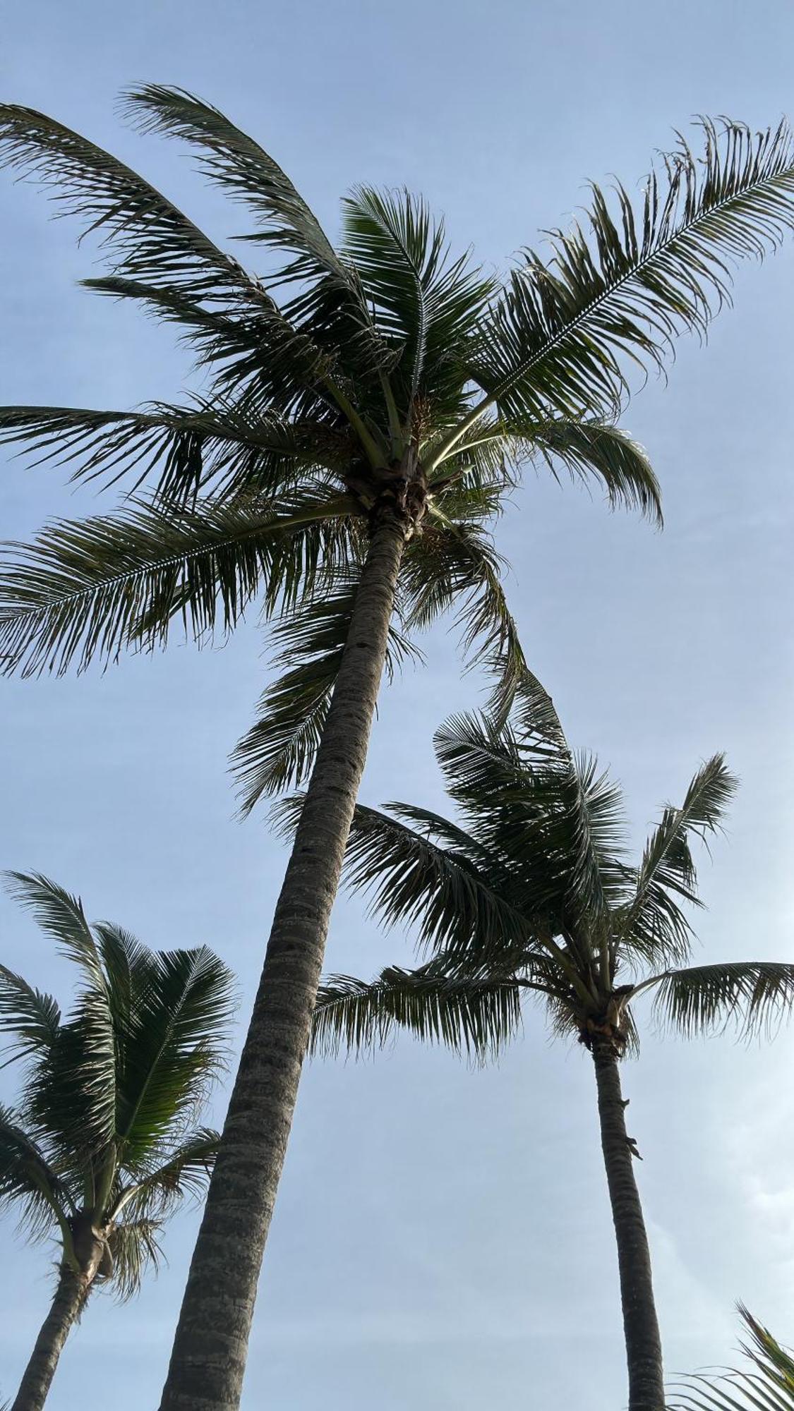 Poya Villa Ahangama Ngoại thất bức ảnh